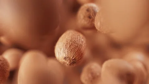 Looping animation of a group of coconuts. Defocus. Close-up. Stock Footage 315522375