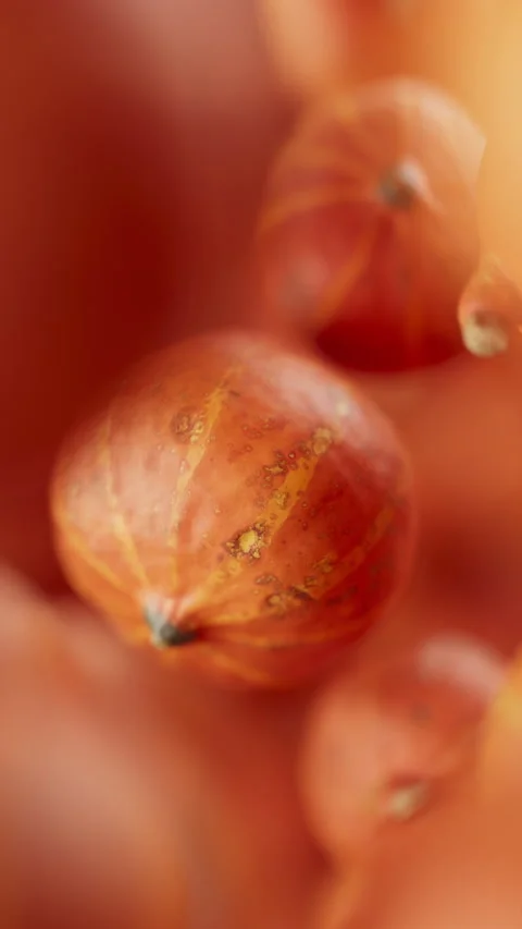 Looping animation of a group of pumpkins. Defocus. Close-up. Stock Footage 318348778