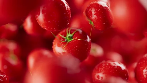 Looping animation of a group of tomato. Defocus. Close-up. Stock Footage 309336167