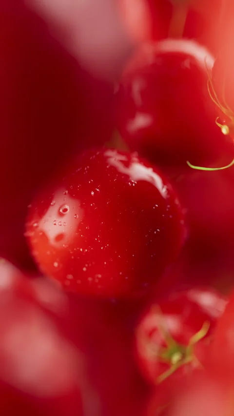 Looping animation of a group of tomato. Defocus. Close-up. Stock Footage 314045487