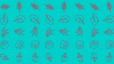Looping Animation of Hand-Drawn Leaves and Fruits on Turquoise Background 스톡 동영상 328557923