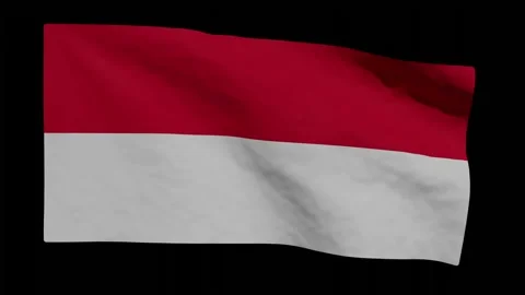 Looping Animation of Monaco's Flag Waving (w/ Matte) Stock Footage 259065478