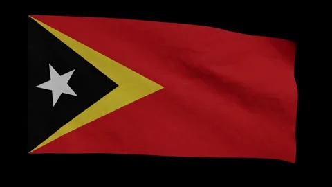 Looping Animation of the Timorese Flag Waving (w/ Matte) Stock Footage 302659433