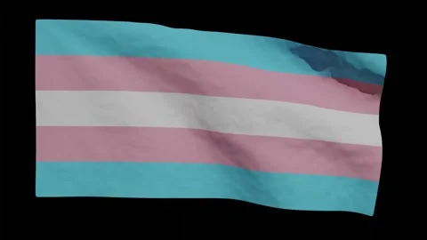 Looping Animation of Trans Flag Waving (w/ Matte) Stock Footage 254928041