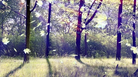 Looping Autumn Background Video stock 8682252