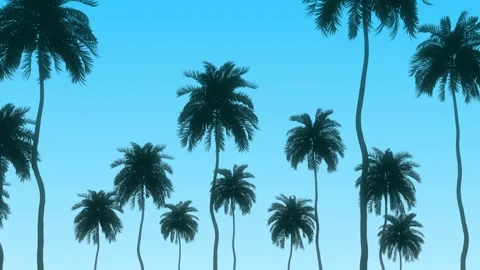 Looping background animation of palm trees with parallax tracking Stock Footage 305749018