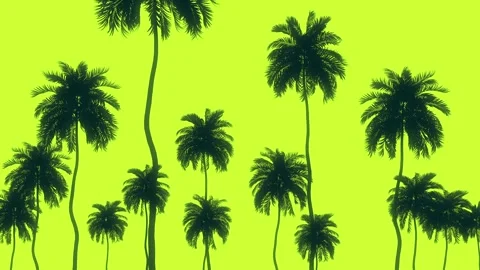 Looping background animation of palm trees with parallax tracking Stock Footage 308452453