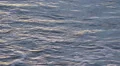 Looping beach water with sunset reflections HD Footage