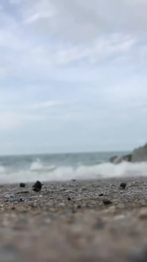 Looping Beach Wave Splash - Ocean Wave Background Stock Footage 290492498