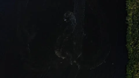 Looping Boat Circles Etched in Dark Water Between Forested Riverbanks 库存影片 338360901