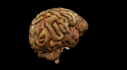 Looping Brain Animation 02 Video stock 829950