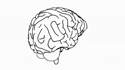 Looping Brain Animation 06 Stock Footage 837529