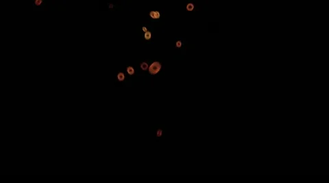 Looping Bubbles Video stock 12268662