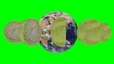 Looping Cabbage rotation around the world Stock Footage 164546492