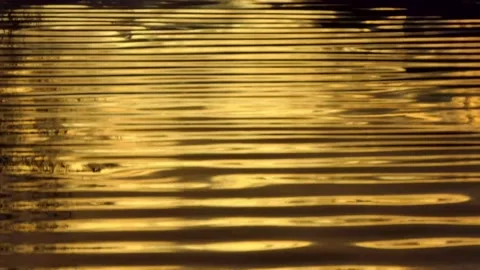 Looping close crop of softly rippling waves reflecting golden sunlight on a pond Vídeo Stock 150283491