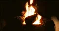 Looping Cosy Winter Camping Christmas Fireplace Fire 1 of 4 HD Footage