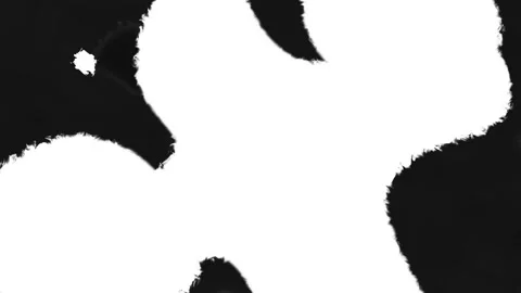 Looping dark grey and white liquid moving ink transition reveal animation. Stock Footage 342998195