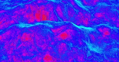 Looping display screen: processed view  of topography.  Stock Footage 77766857