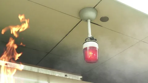 Looping Fire Alarm Alert Animation Variant 3 Vídeo Stock 333228956