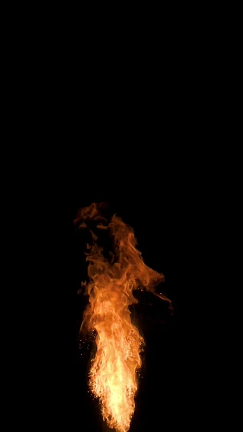 Looping Fire Element Vertical Video. Stock Footage 302110732