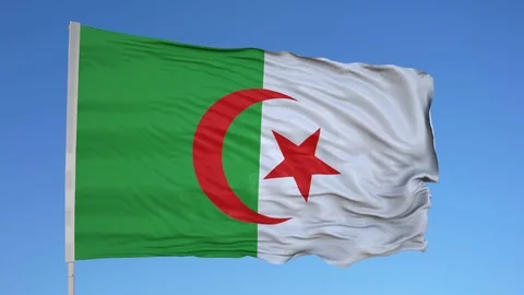 Looping flag for Algeria on flag pole, blowing beautifully in the wind. Includes 動画素材 79763842