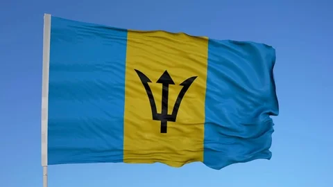 Looping flag for Barbados on flag pole, blowing beautifully in the wind. 動画素材 79753329