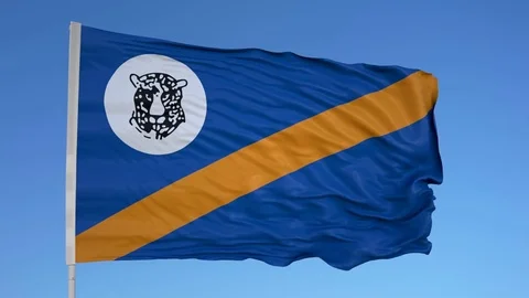 Looping flag for Bophuthatswana on flag pole, blowing beautifully in the wind. Stock Footage 79750477