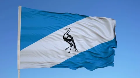 Looping flag for Ciskei on flag pole, blowing beautifully in the wind. Includes Video stock 79770145