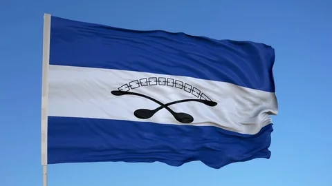 Looping flag for Gazan Kula on flag pole, blowing beautifully in the wind. Stock-Footage 79753648
