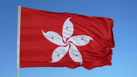 Looping flag for Hong Kong on flag pole, blowing beautifully in the wind. 스톡 동영상 79755625