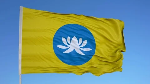 Looping flag for Kalmykia on flag pole, blowing beautifully in the wind. Stock Footage 79769994