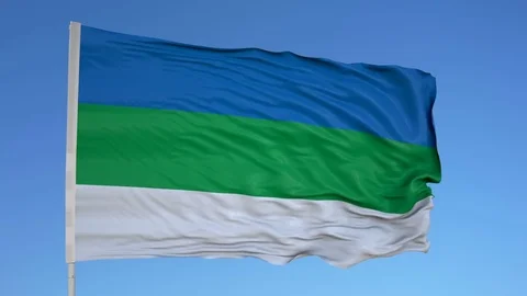 Looping flag for Komi on flag pole, blowing beautifully in the wind. Includes 動画素材 79773229