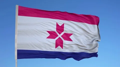 Looping flag for Mordvinia on flag pole, blowing beautifully in the wind. Vídeos de archivo 79785443
