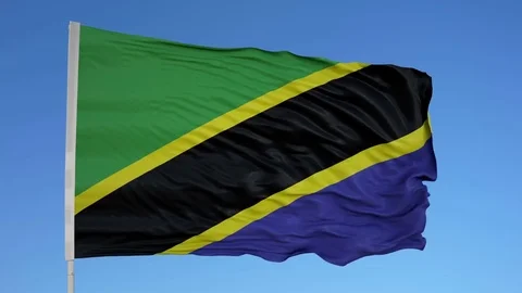 Looping flag for Tanzania on flag pole, blowing beautifully in the wind. 動画素材 79804103