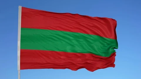 Looping flag for Trans Dniester Republic on flag pole, blowing beautifully in Stock Footage 79801288