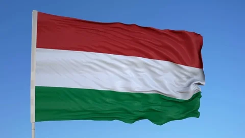 Looping flag for Transkei on flag pole, blowing beautifully in the wind. Stock Footage 79795691