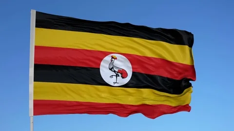 Looping flag for Uganda on flag pole, blowing beautifully in the wind. Includes Stock Footage 79807100