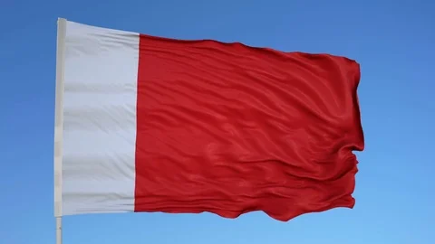 Looping flag for United Arab Emirates on flag pole, blowing beautifully in the Stock Footage 79785737
