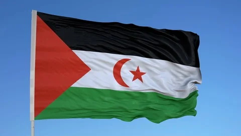 Looping flag for Western Sahara on flag pole, blowing beautifully in the wind. Stock Footage 79789253