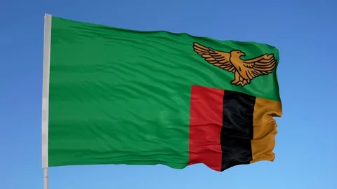 Looping flag for Zambia on flag pole, blowing beautifully in the wind. Includes Stock Footage 79762409