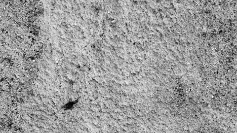 Looping  grunge texture  overlay low framerate  stop motion style in 4K video Stock Footage 264508136