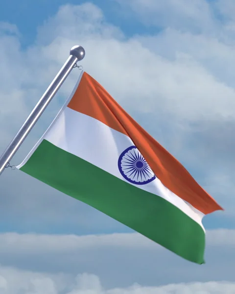 Looping Indian flag on flagpole Stock Footage 290883700