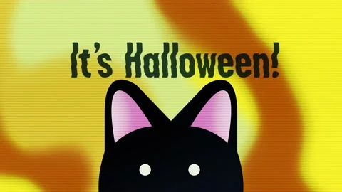 Looping Invites and Patterns for Halloween Stock After Effects