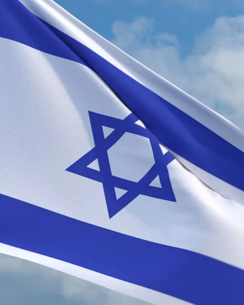 Looping Israeli flag on  flagpole Video stock 290880894