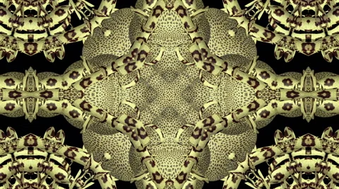 Looping Kaleidoscope Patterns Stock Footage 43618137