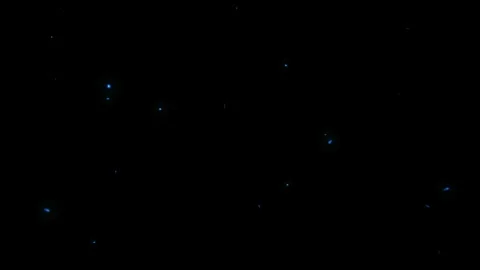 Looping Magical Blue Fireflies Glowing and Flying in the Dark Stock Footage 345659960