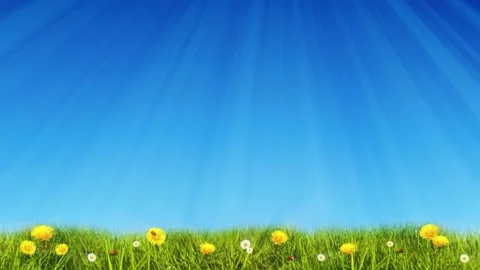 Looping motion background shows a green springtime meadow and lots of free copy Stock Footage 160661131