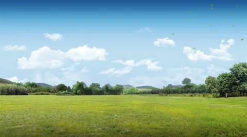 Looping Movie Nature green ground for VJ back Stock Footage