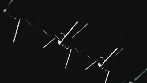 Looping Pan over an Endless Line of Barbed Wire Stock Footage 77576630