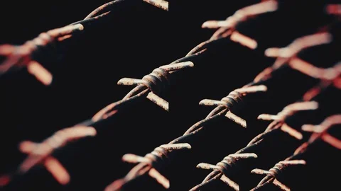 Looping Pan over Rusty Barbed Wire Lines Stock Footage 77584240